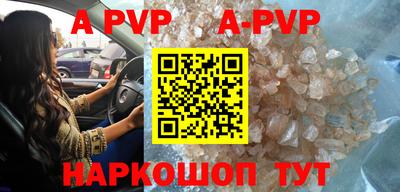 apvp Канаш