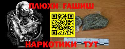 гидра Кандалакша